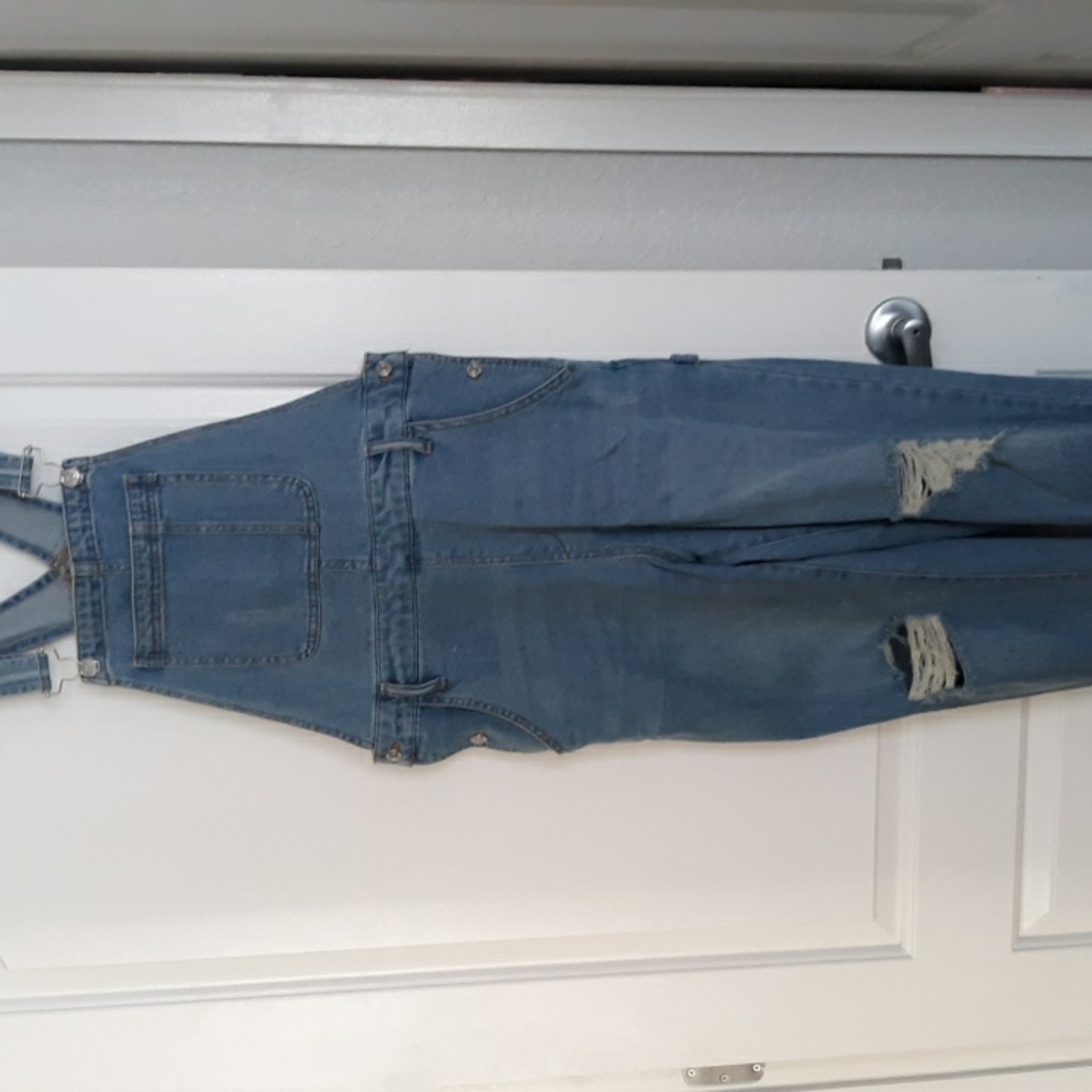 Distressed Wild Fable overalls